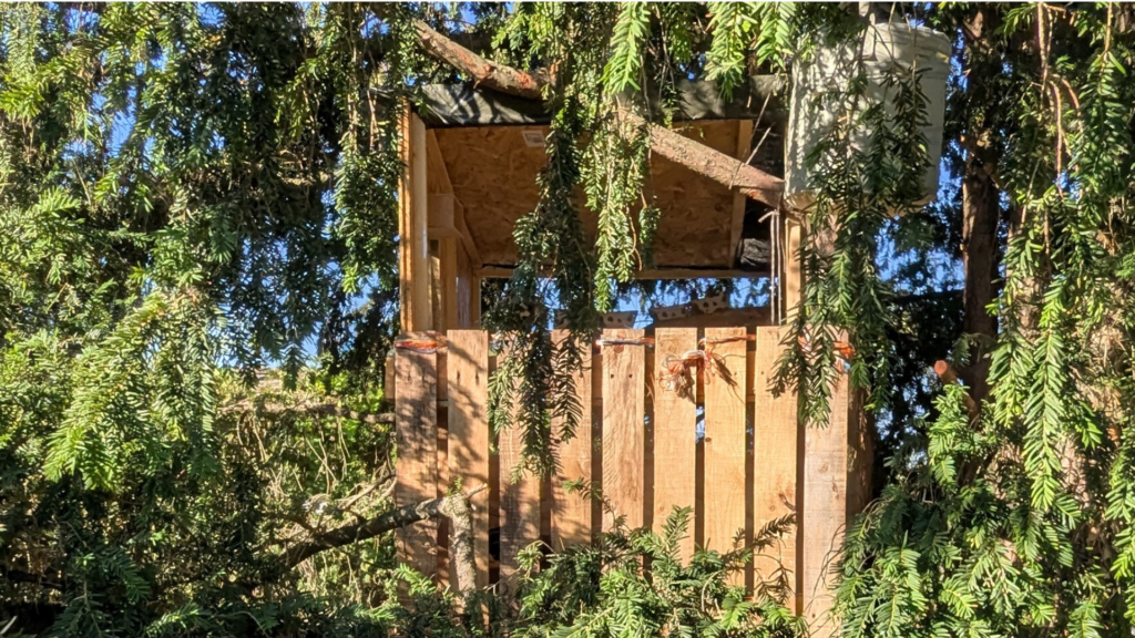 Cabane dans les arbres en bois de récupération